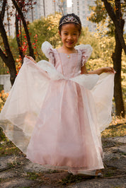 Antique Pink Princess Dress