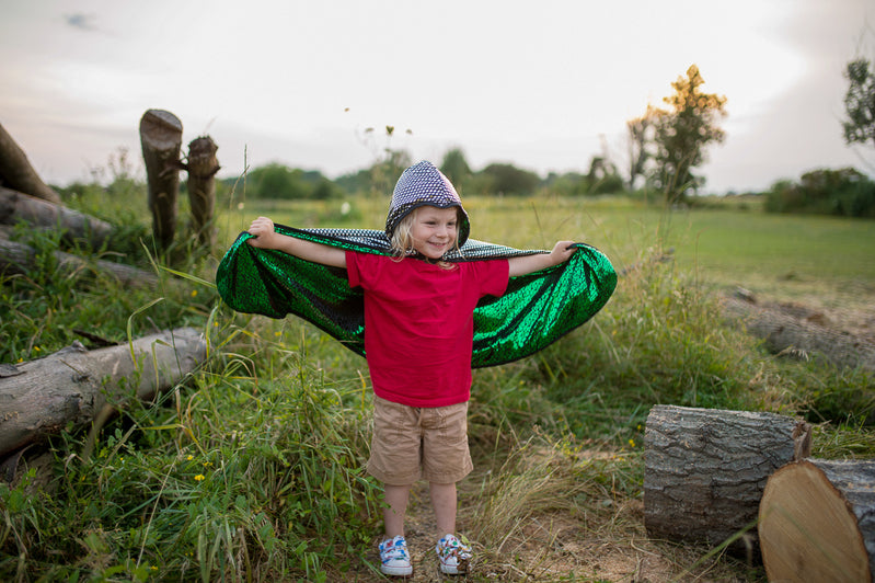 Reversible Dragon Knight Cape