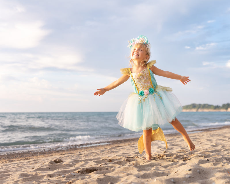 mermaid tutu Dress with Tail fairy