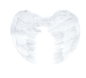 Angel Wings devil halloween bird costume fancy dress feather party
