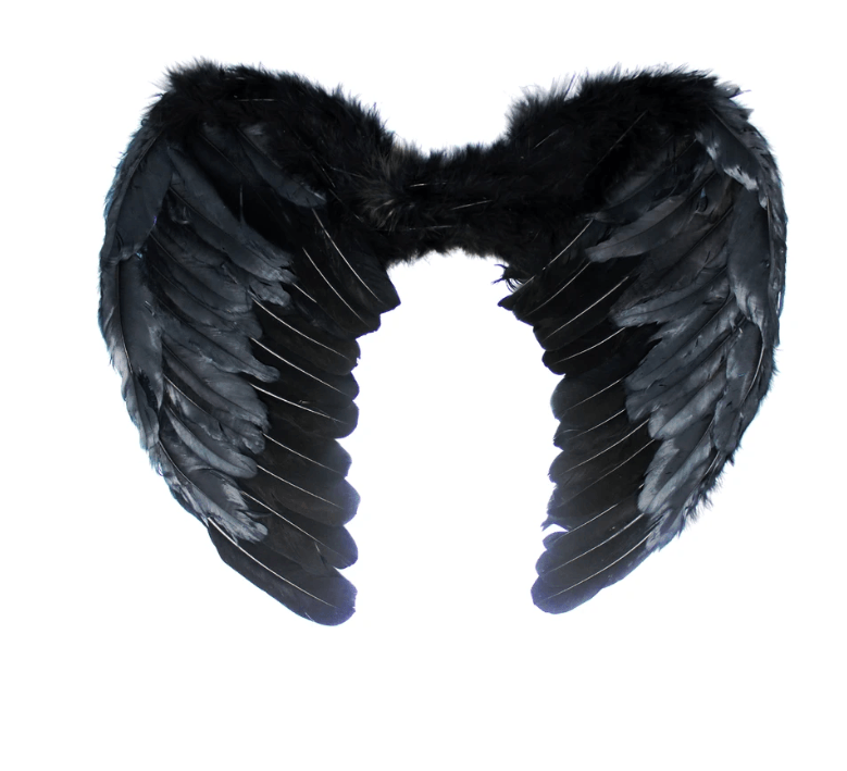 Angel Wings devil halloween bird costume fancy dress feather party
