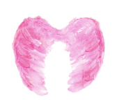 light baby pink angel wings
