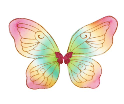 rainbow fairy wings