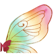 rainbow fairy wings