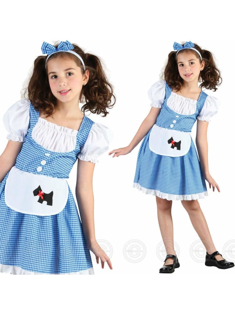 Dorothy fancy dress on sale child