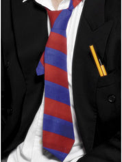 naughty school girl or silly school boy fancy dress costume.
