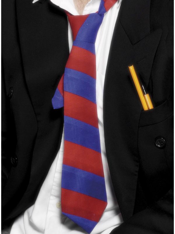 naughty school girl or silly school boy fancy dress costume.