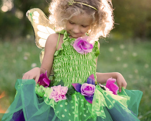 Fairy Dress Up