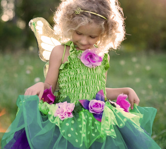 Fairy Dress Up
