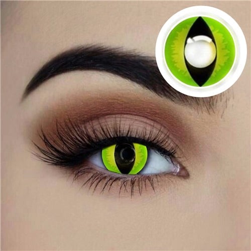 Contact Lenses