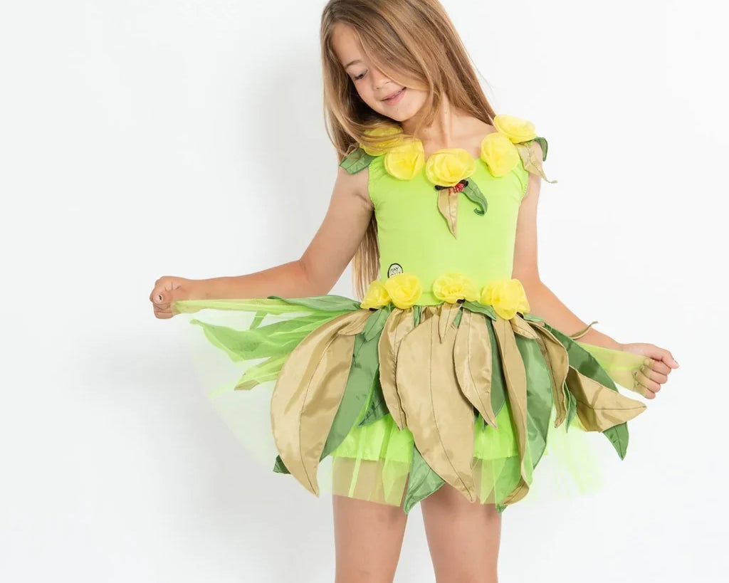 Fairy Dresses &amp; Accessories
