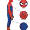 Spiderman Costume - Adult