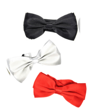 Satin Bow Tie