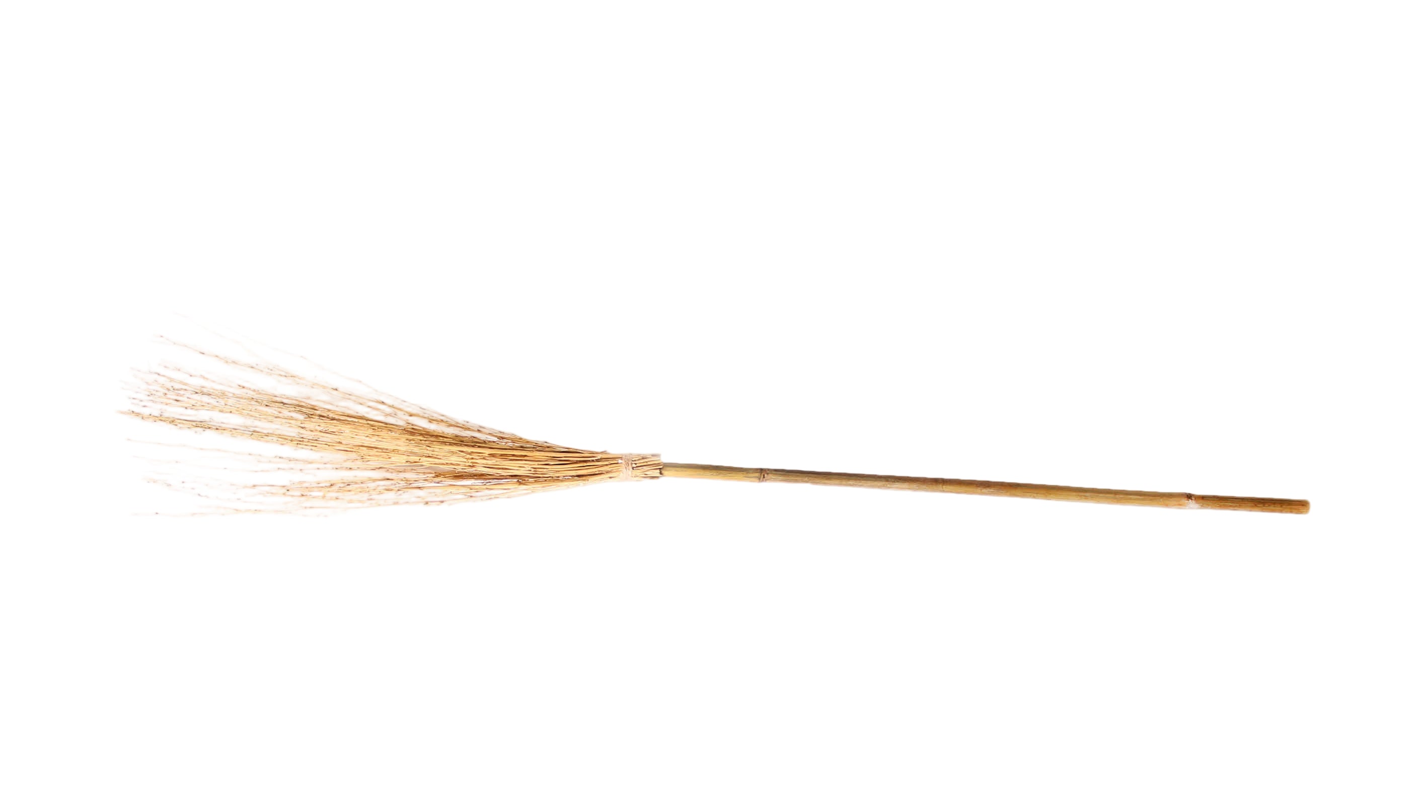 witch broom wicked dorothy 