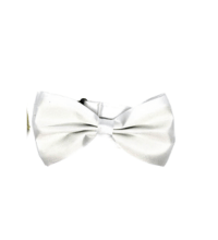 Satin Bow Tie