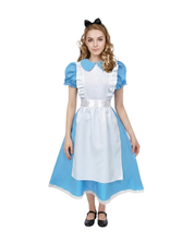 Alice in Wonderland Costume - Adult