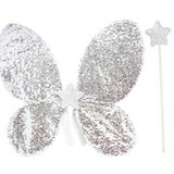 Silver Sequin Wings and Glitter Star Wand Set