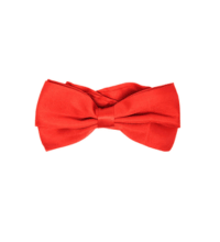 Satin Bow Tie