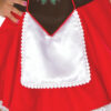 Beer Garden Celebration Women's Costume
