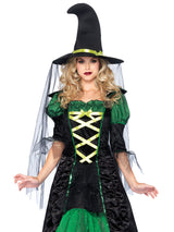 Storybook Witch Costume