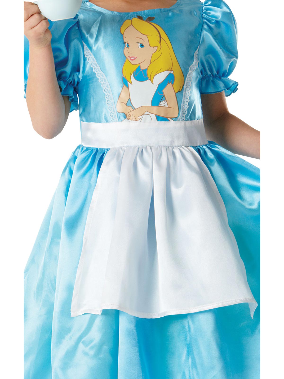 Alice in Wonderland Costume