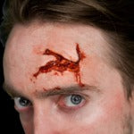FX Transers 3D - Head Wound