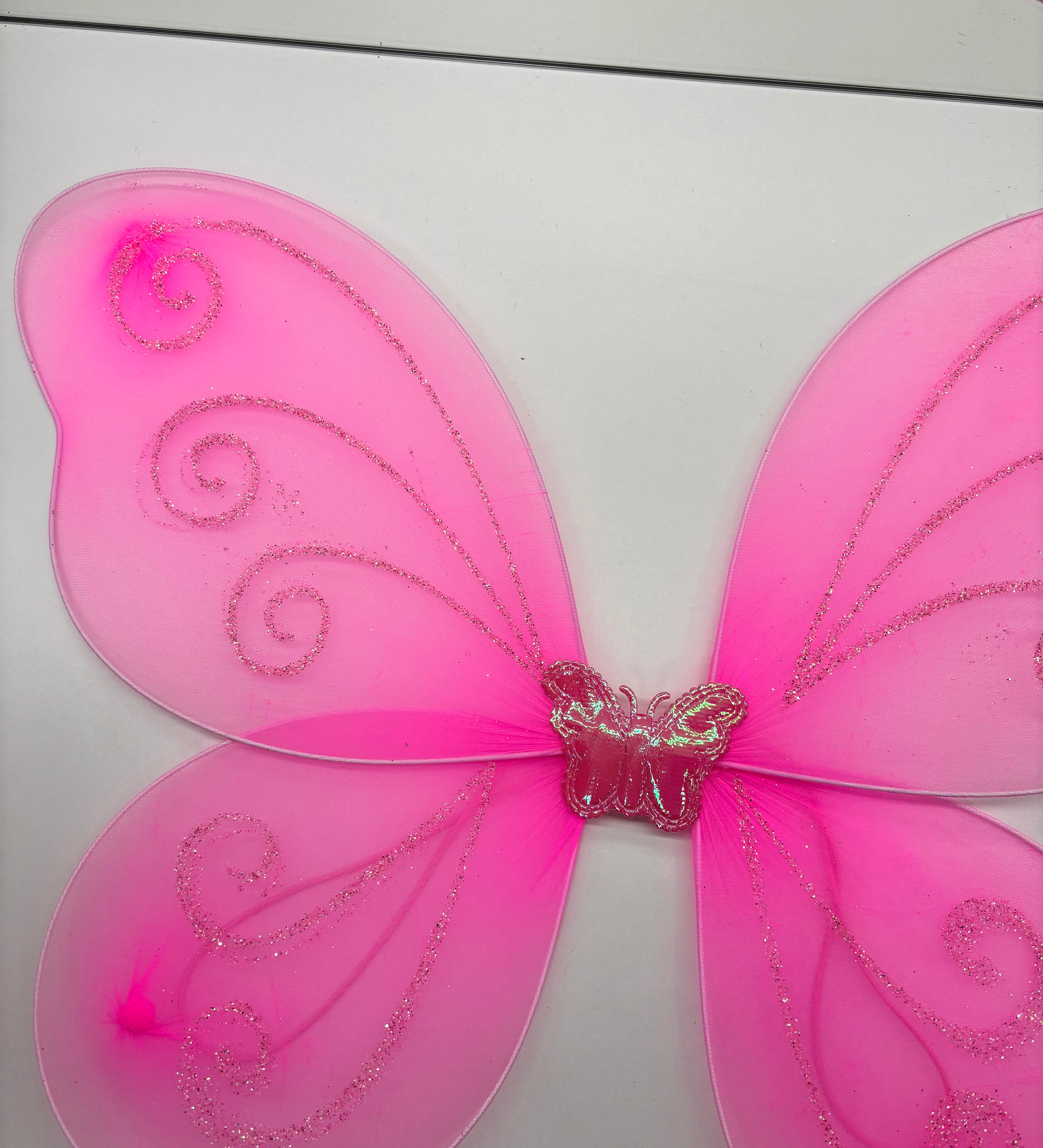 Childrens Fairy Wings
