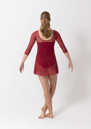 Amber Mesh Dress