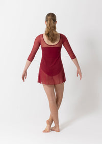Amber Mesh Dress