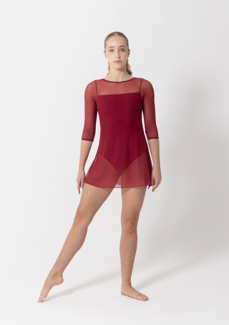 Amber Mesh Dress