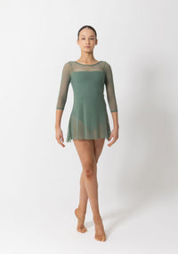 Amber Mesh Dress