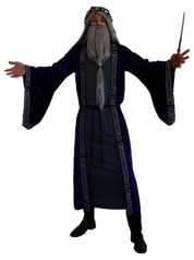Wizard Robe