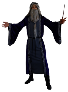 Wizard Robe