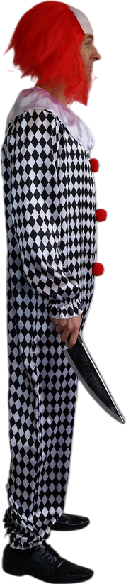 Crazy Clown - Adult Costume