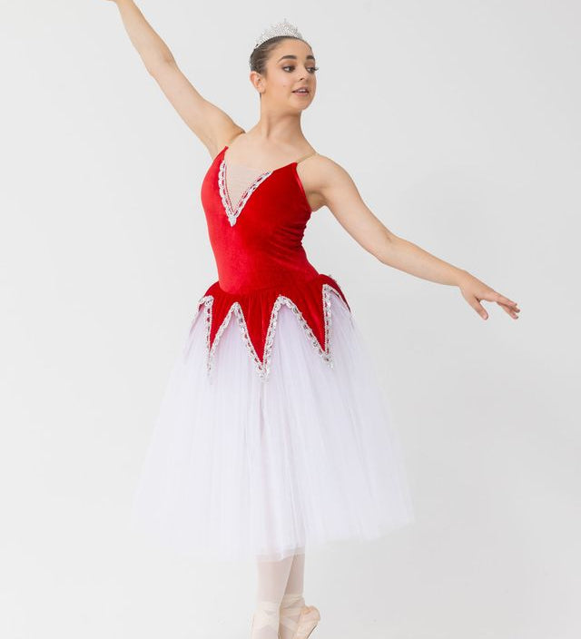 velvet romantic tutu embellished skirt