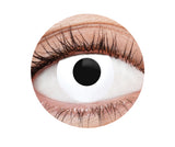 Eye FX Contact Lenses - White Deranged