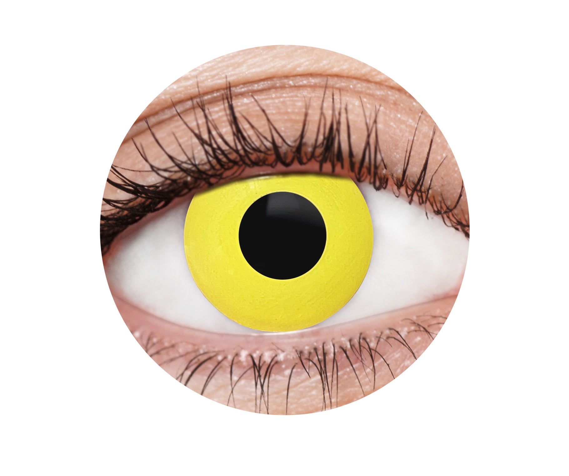 efx028 yellow crow contact lenses