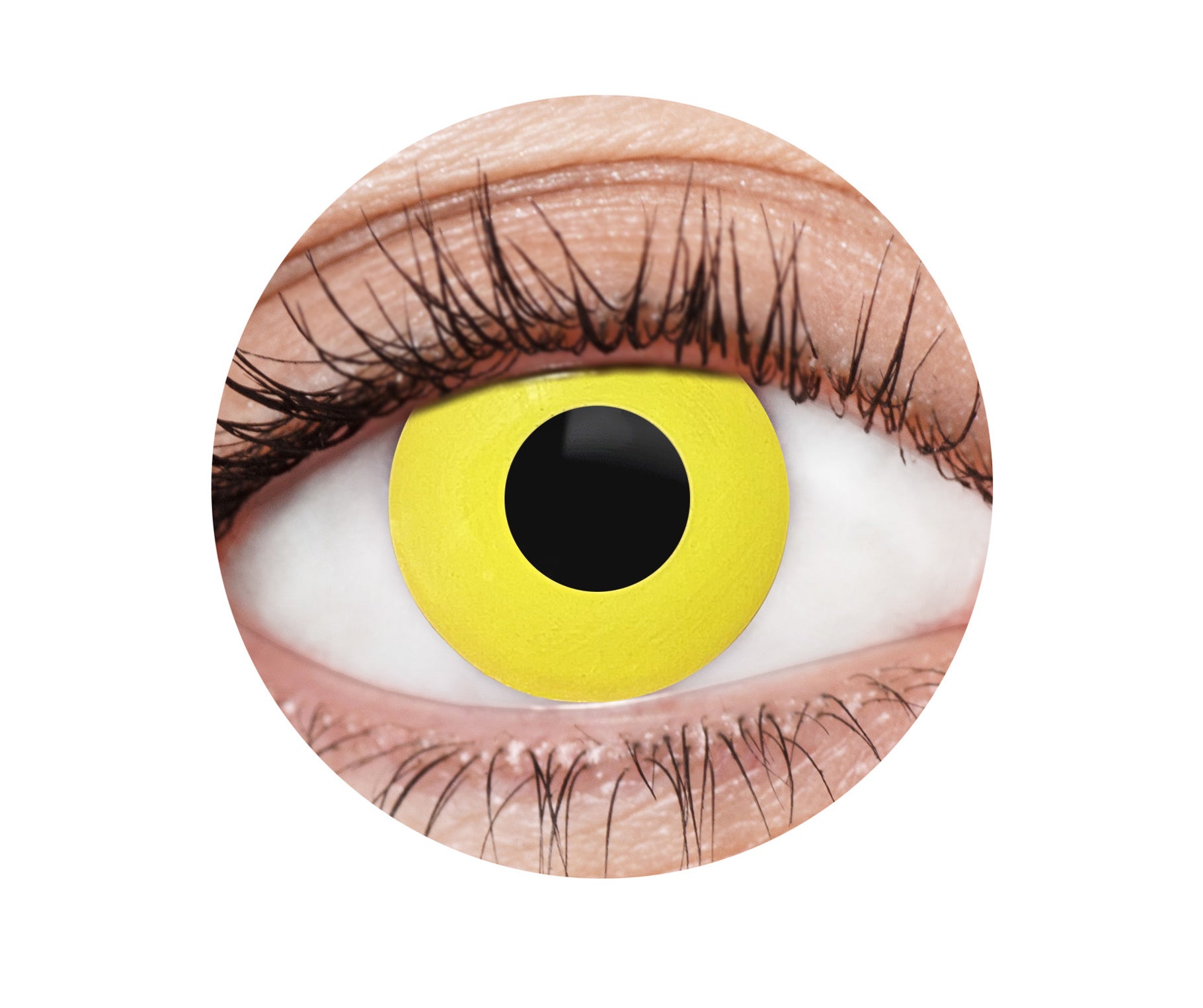 efx028 yellow crow contact lenses
