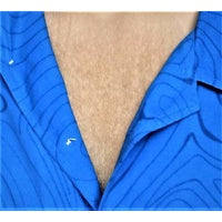 Chest Hair 1970s 70s ethnic disco professional facial body hair 
