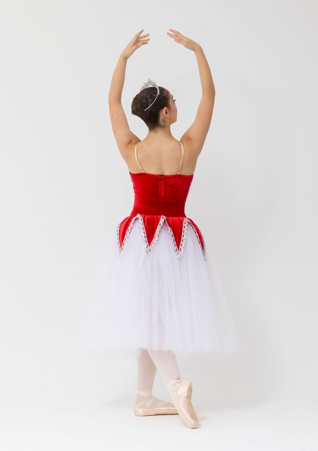 velvet romantic tutu embellished skirt