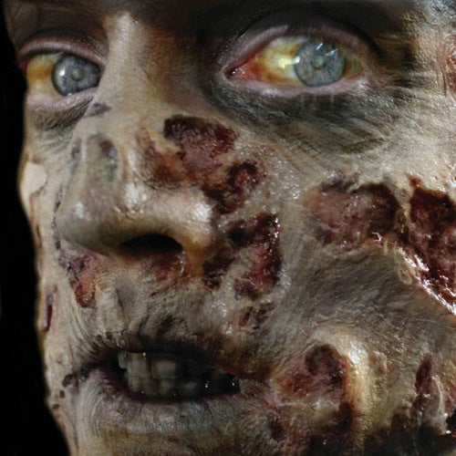 fx tinsley transfers zombie rot makeup halloween horror