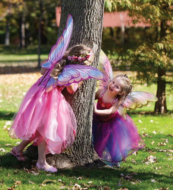 Glitter Rainbow Wings