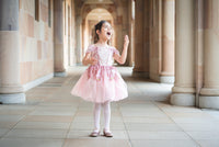 sugar plum fairy nutcracker costume pink