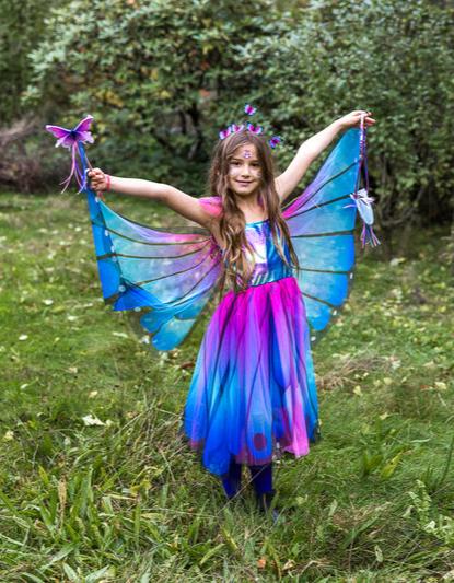 butterfly fairy dress child book week costume