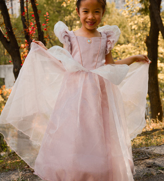 Antique Pink Princess Dress