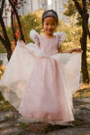 Antique Pink Princess Dress