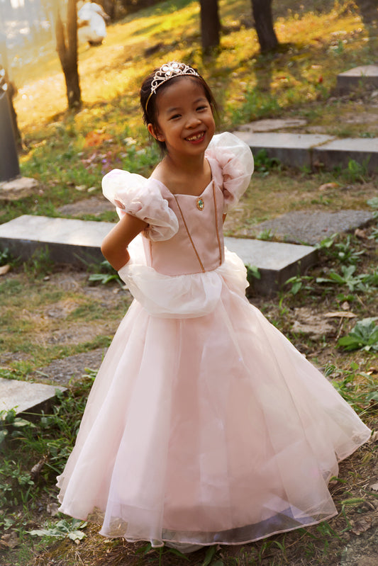 Antique Pink Princess Dress