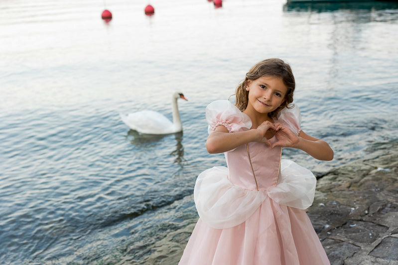 Antique Pink Princess Dress