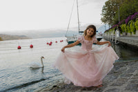 Antique Pink Princess Dress