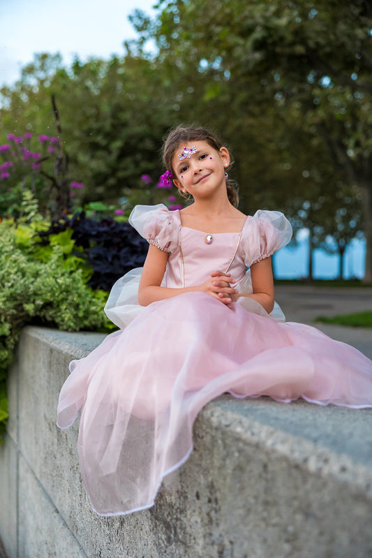 Antique Pink Princess Dress